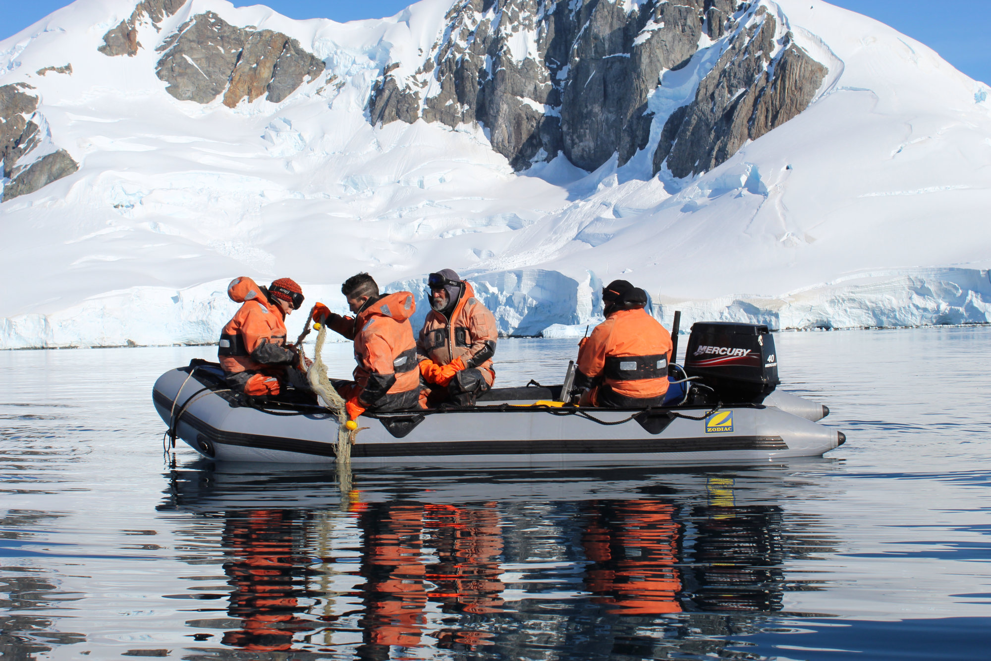 Manuel Novillo, Fellowship Recipient